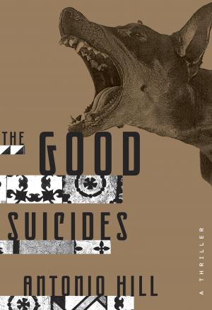 Cover of the book The Good Suicides by A.E. Hellstorm