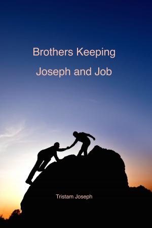 Cover of Brothers Keeping: Joseph and Job
