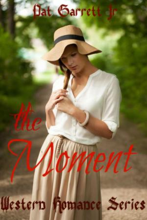 Cover of the book The Moment: Western Romance Series by Marion Lennox