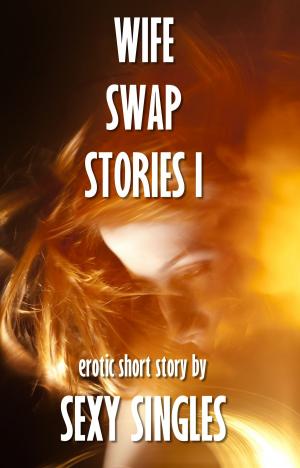 Cover of the book Wife Swap Stories I by Lord Koga