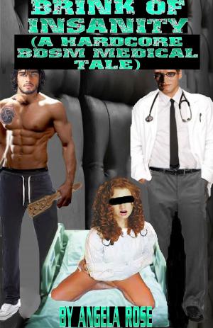 bigCover of the book Brink Of Insanity (A Hardcore BDSM Medical Tale) by 
