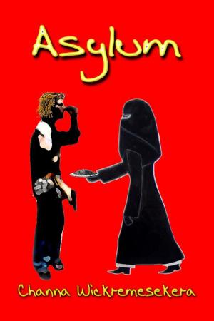Cover of the book Asylum by Shonna Slayton