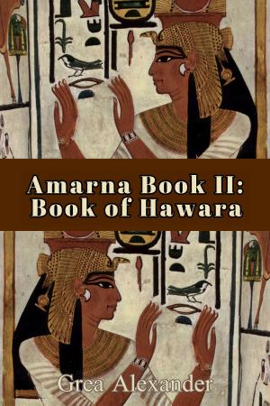 Cover of the book Amarna Book II: Book of Hawara by 国史出版社, 宋永毅