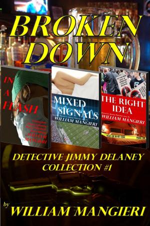 Cover of the book Broken Down: Detective Jimmy Delaney Collection #1 by Aaron Niz