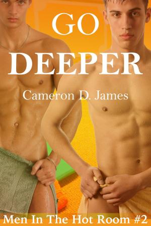Cover of the book Go Deeper by Aden Lowe