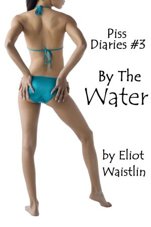Cover of Piss Diaries #3: By The Water