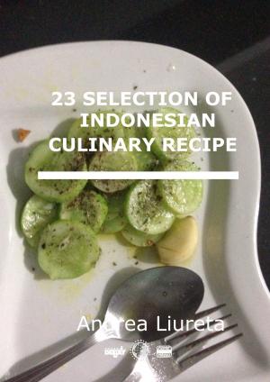 Book cover of 23 Selection of Indonesian Culinary Recipe