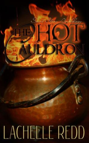 Cover of the book The Hot Cauldron by Jason Mott