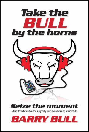 Cover of the book Take The Bull By The Horns: Seize The Moment by D.A. (Daisy) Hickman