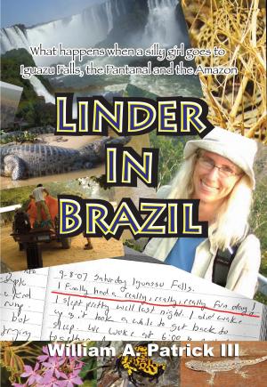 Book cover of Linder in Brazil