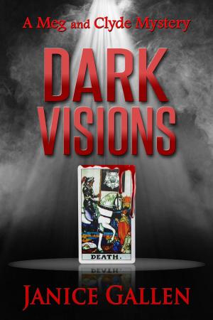 Cover of the book Dark Visions by D. N. Leo