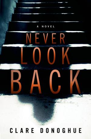 Cover of the book Never Look Back by Stephen Coonts