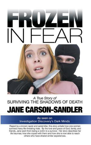 Cover of the book Frozen in Fear by Larry Patrick Shriner