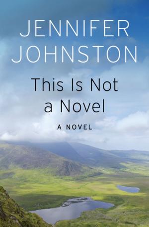 Cover of the book This Is Not a Novel by John Norman