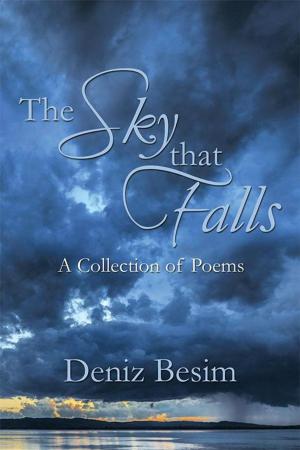 Cover of the book The Sky That Falls by Once Adrift