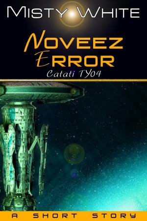 Cover of the book Noveez Error by R. M. Huffman