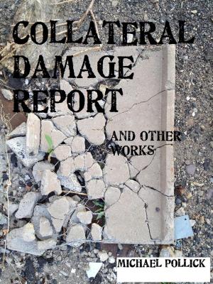 Book cover of COLLATERAL DAMAGE REPORT and other works