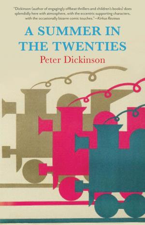 Cover of the book A Summer in the Twenties by 