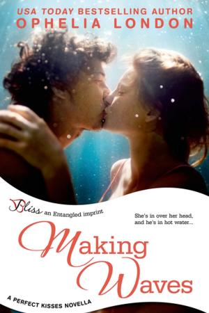 Cover of the book Making Waves by Diana Quincy