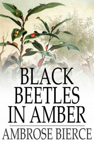 Cover of the book Black Beetles in Amber by Robert W. Chambers