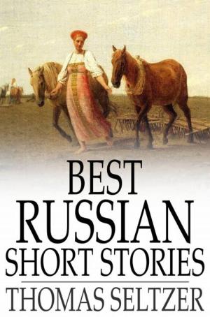 Cover of the book Best Russian Short Stories by Leo Tolstoy