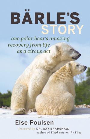 Cover of the book Barle's Story by David Suzuki, Ian Hanington
