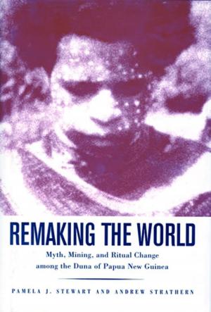 Cover of the book Remaking the World by Lucien M. Turner