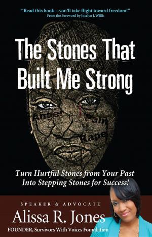 Cover of the book The Stones That Built Me Strong by Jim Brickman