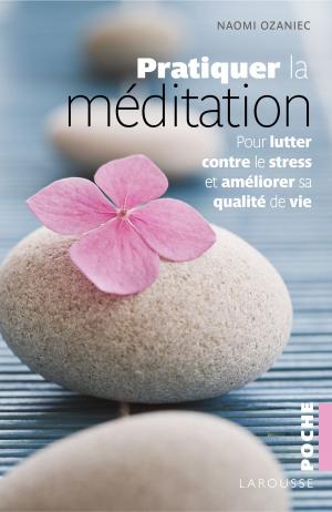 Cover of the book Pratiquer la méditation by Bénédicte Boudassou