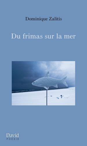 Cover of the book Du frimas sur la mer by Andrée Christensen