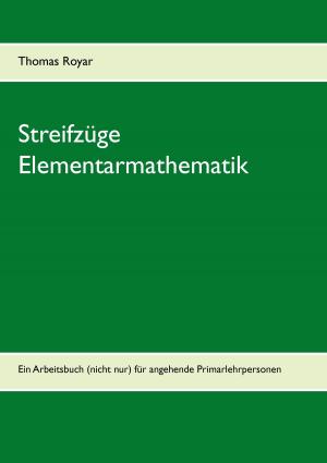 Cover of the book Streifzüge Elementarmathematik by Stephan Rehfeldt