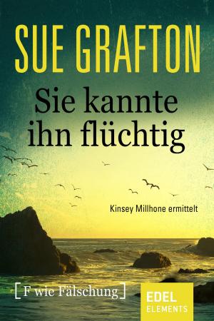 Cover of the book Sie kannte ihn flüchtig by Rolf A. Becker