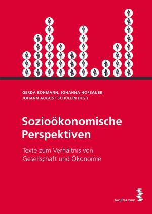 Cover of the book Sozioökonomische Perspektiven by Dominique Boullier, Mariannig le Béchec, Maxime Crépel