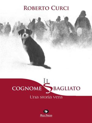 Cover of the book Il cognome sbagliato by Jana Volkmann