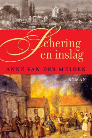 Cover of the book Schering en inslag by Mike Twohy