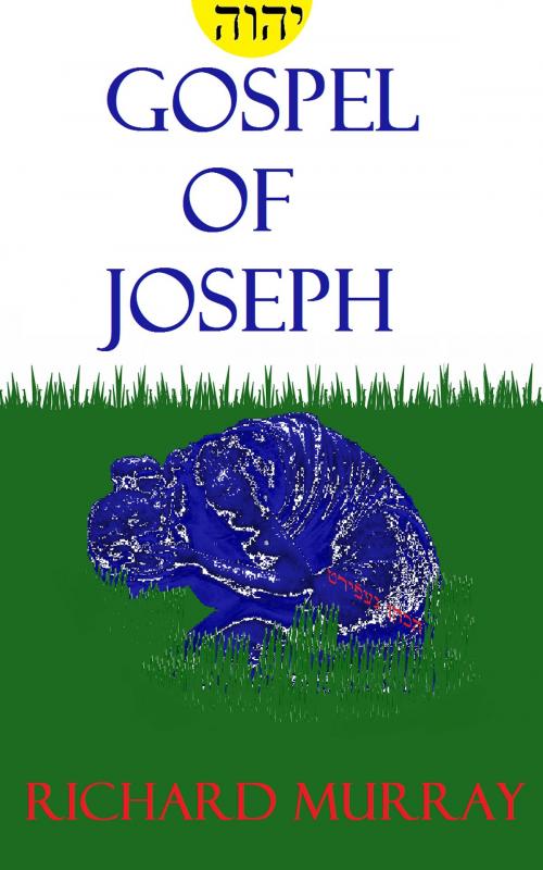 Cover of the book Gospel of Joseph by Richard Murray, Richard Murray