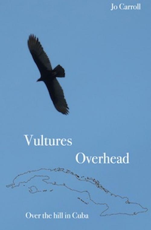 Cover of the book Vultures Overhead by Jo Carroll, Jo Carroll