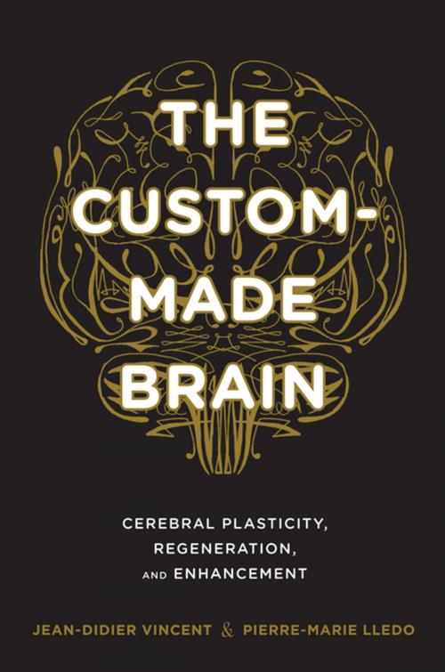 Cover of the book The Custom-Made Brain by Jean-Didier Vincent, Pierre-Marie Lledo, Columbia University Press