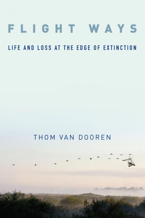 Cover of the book Flight Ways by Thom van Dooren, Columbia University Press