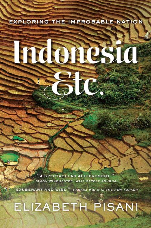 Cover of the book Indonesia, Etc.: Exploring the Improbable Nation by Elizabeth Pisani, W. W. Norton & Company