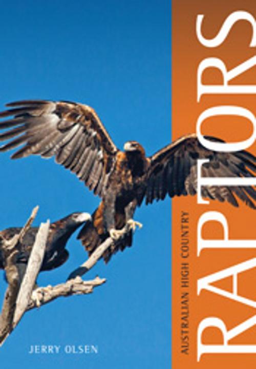 Cover of the book Australian High Country Raptors by Jerry Olsen, CSIRO PUBLISHING