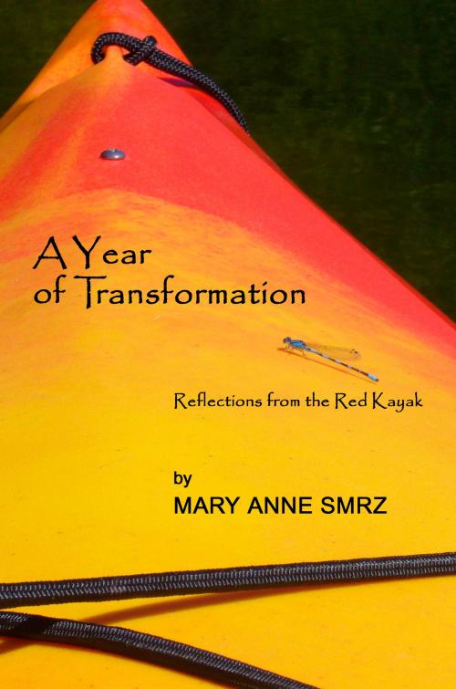 Cover of the book A Year of Transformation by Mary Anne Smrz, Mary Anne Smrz