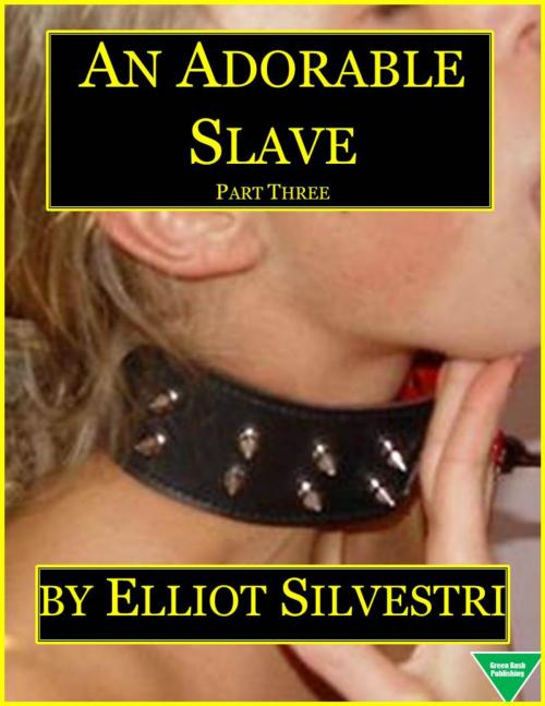 Cover of the book An Adorable Slave (Part Three) by Elliot Silvestri, Elliot Silvestri