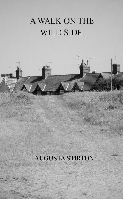 Cover of the book A Walk On The Wild Side by Augusta Stirton, Augusta Stirton