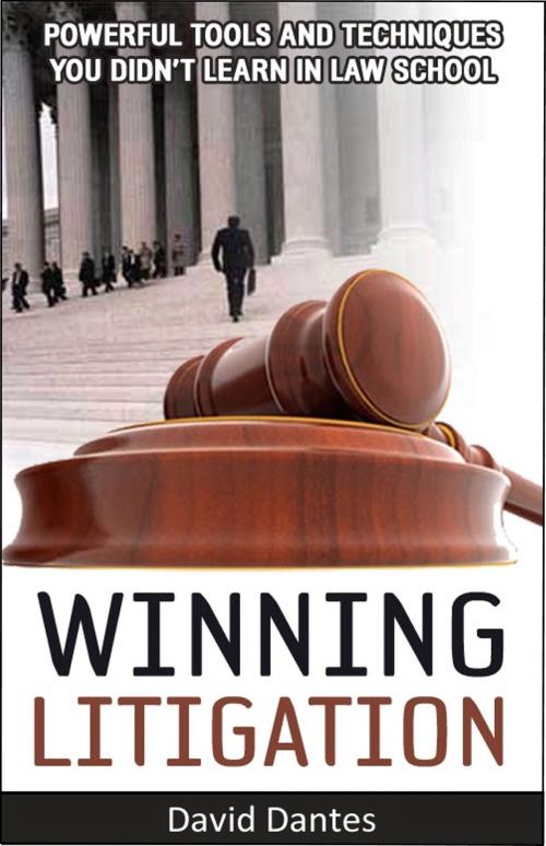 Cover of the book Winning Litigation by David Dantes, David Dantes