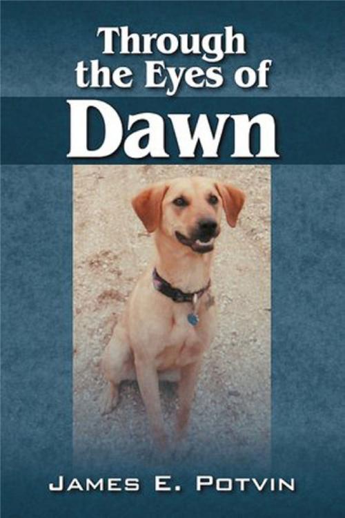 Cover of the book Through the Eyes of Dawn by James E. Potvin, James E. Potvin