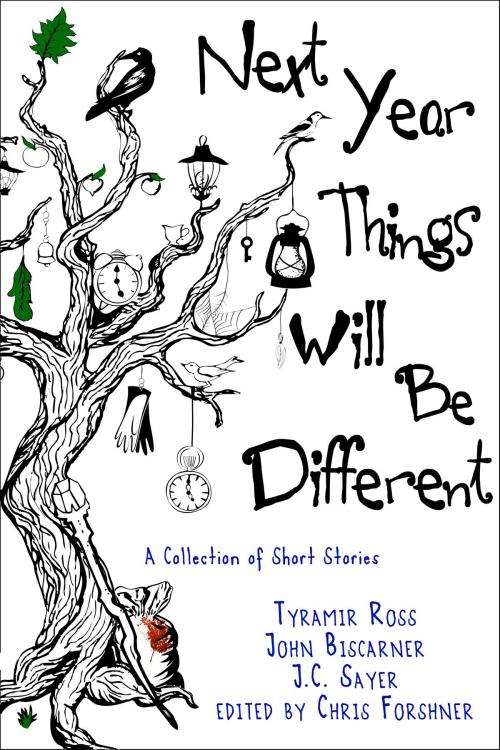 Cover of the book Next Year, Things Will Be Different by Tyramir Ross, john biscarner, J. C. Sayer, Christine Forshner, Lemorn Literary Works