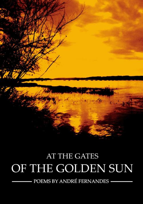Cover of the book At The Gates Of The Golden Sun by André Fernandes, André Fernandes