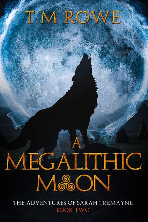 Cover of the book A Megalithic Moon: The Adventures of Sarah Tremayne Book Two by T M Rowe, T M Rowe