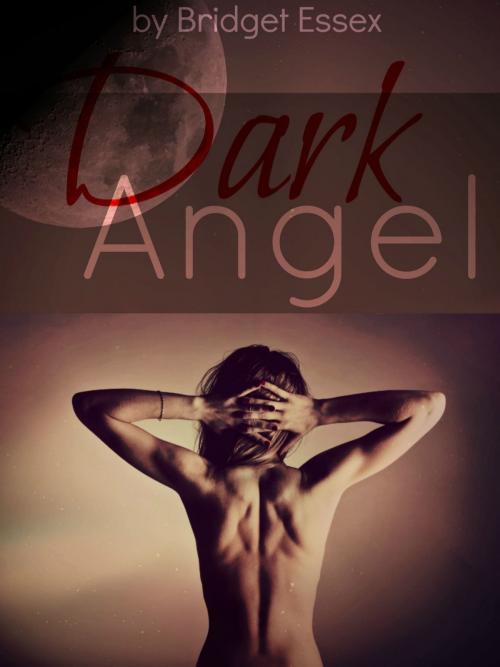 Cover of the book Dark Angel by Bridget Essex, Rose and Star Press